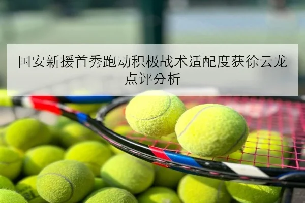 国安新援首秀跑动积极战术适配度获徐云龙点评分析
