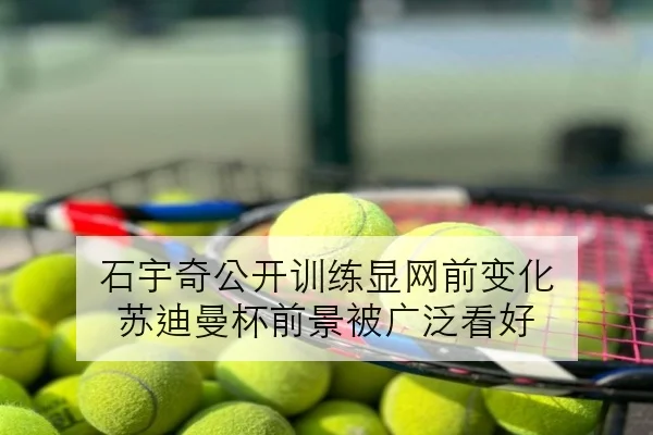 石宇奇公开训练显网前变化 苏迪曼杯前景被广泛看好